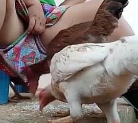يجب مشاهدة دس bhabi تغذية الدجاجة