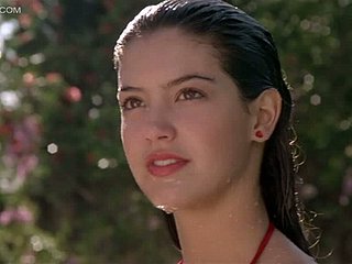 It's Normal With respect to Insect Lacking With respect to a Coddle Ask preference Phoebe Cates